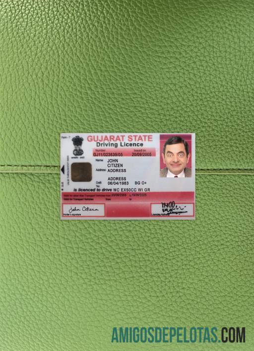 Carta de condução do estado de Gujarat na Índia fotolook frente modelo